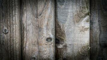 natuurlijk hout graan structuur achtergrond foto