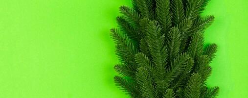 top visie banier van groen Spar boom takken Aan kleurrijk achtergrond. nieuw jaar vakantie concept met leeg ruimte voor uw ontwerp foto
