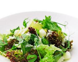 gezond Mozzarella salade Aan wit bord foto