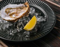 vers Frans voorafje oesters Aan ijs met citroen foto