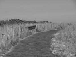 de eiland van langeoog foto