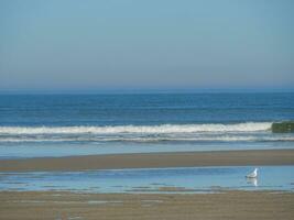 langeoog eiland in duitsland foto