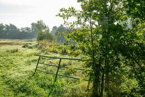 vroeg ochtend- Bij een rivier- in Westfalen foto