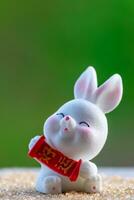 drie schattig Chinese konijntjes pop Holding een rood geld zak en glimlach met groen natuur wazig achtergrond. lief konijn karakter ontwerpen voor midden herfst festival, jaar van de konijn 2023, en Pasen foto