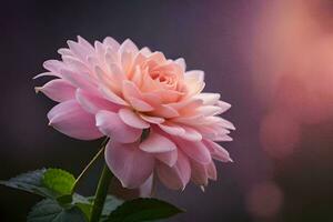 een single roze bloem is getoond in voorkant van een wazig achtergrond. ai-gegenereerd foto