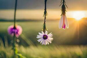 twee bloemen hangende van een Liaan in de zon. ai-gegenereerd foto