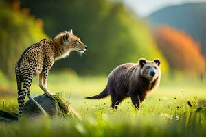 een Jachtluipaard en een bruin beer in een veld. ai-gegenereerd foto