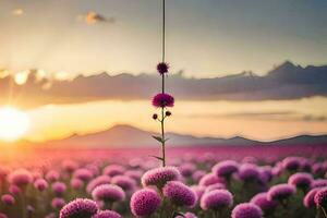 een bloem veld- met Purper bloemen Bij zonsondergang. ai-gegenereerd foto