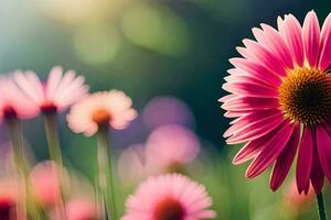 roze bloemen in een veld- met zonlicht. ai-gegenereerd foto