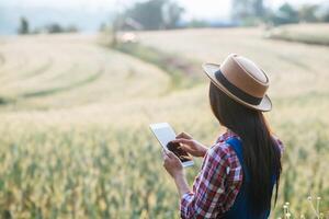 slimme vrouwelijke boer kijkt naar gerstveld met tabletcomputer foto