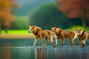 drie bruin honden wandelen aan de overkant een meer. ai-gegenereerd foto