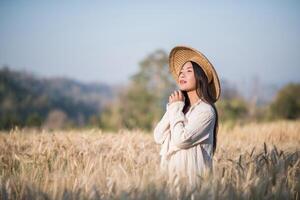 Vietnamese vrouwelijke boer in tarweoogstveld foto