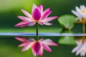 twee roze lotus bloemen zijn weerspiegeld in de water. ai-gegenereerd foto