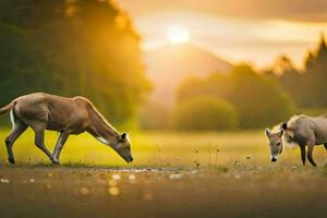 twee hert begrazing in de gras Bij zonsondergang. ai-gegenereerd foto