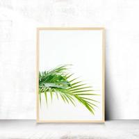 zomerframe en vrije ruimte voor tekst, zomerachtergrond foto