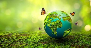 concept red de wereld red het milieu de wereld ligt in het gras foto