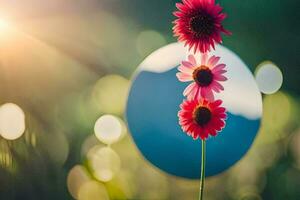 foto behang de zon, bloemen, de lucht, de spiegel, de reflectie, de zon,. ai-gegenereerd