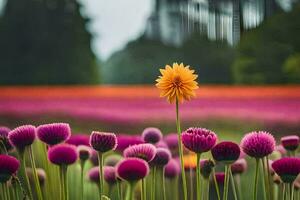 een single geel bloem staat uit in een veld- van roze bloemen. ai-gegenereerd foto