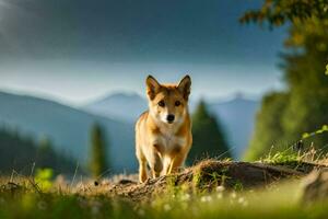 een hond wandelen in de bergen. ai-gegenereerd foto