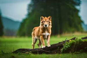 een hond staand Aan een log in een veld. ai-gegenereerd foto