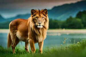 een leeuw staand in de gras in de buurt een meer. ai-gegenereerd foto