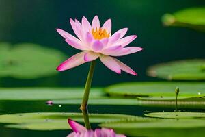 een roze lotus bloem is weerspiegeld in de water. ai-gegenereerd foto