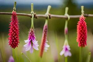 bloemen hangende van een draad in een veld. ai-gegenereerd foto