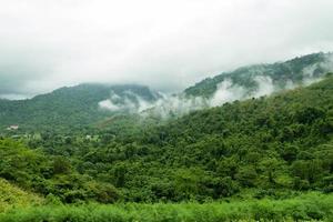 landschap van bosberg met mist op het platteland van thailand foto