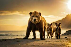 een beer en twee welpen wandelen Aan de strand Bij zonsondergang. ai-gegenereerd foto