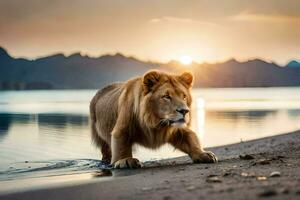 een leeuw wandelen langs de kust Bij zonsondergang. ai-gegenereerd foto