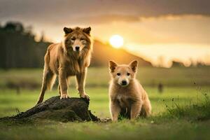 twee honden staand Aan een rots in een veld- Bij zonsondergang. ai-gegenereerd foto