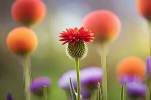 een rood bloem is staand in voorkant van een veld- van Purper bloemen. ai-gegenereerd foto