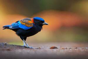 een kleurrijk vogel met blauw, oranje en rood veren. ai-gegenereerd foto