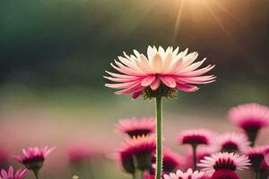 roze bloemen in de zon. ai-gegenereerd foto