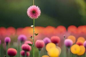een single roze bloem staat uit in een veld- van kleurrijk bloemen. ai-gegenereerd foto