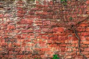 grunge steen bakstenen muur achtergrond textuur foto