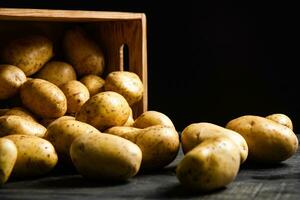 vers aardappelen. Aan zwart achtergrond. foto