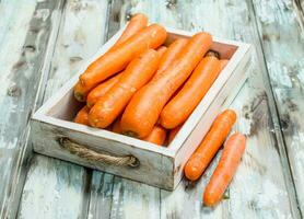 rijp wortels in een houten dienblad. foto