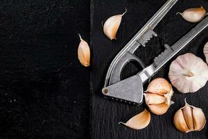 knoflook met een knoflook druk op Aan een steen bord. foto