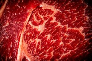 rauw rundvlees pulp. macro achtergrond. rundvlees textuur. foto