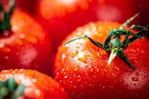 rijp tomaten met druppels van water. foto