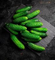 bundel van vers eigengemaakt komkommers. foto