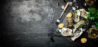 vers oesters met groenen. Aan een zwart achtergrond. foto