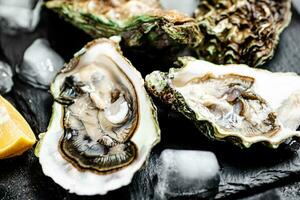rauw oesters Aan een steen bord. foto