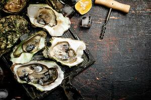 rauw oesters met ijs Aan een snijdend bord. foto