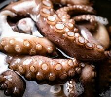 de tentakels van de Octopus zijn gekookt in water. foto