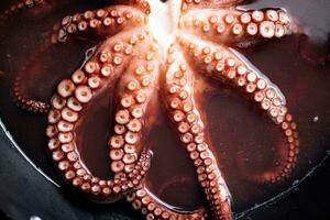 Octopus is gekookt in een pot van water. foto