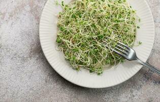 microgreens gegroeid in een kan. foto