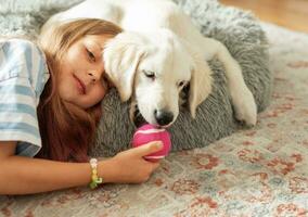 weinig meisje spelen met een gouden retriever puppy Bij huis. foto
