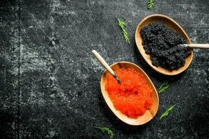 rood en zwart kaviaar in kommen met lepels en dille. foto